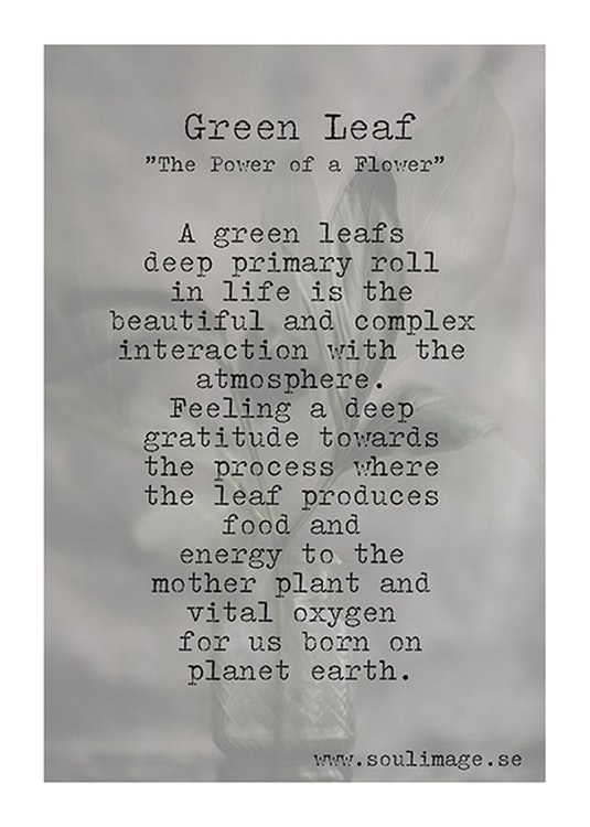 Green Leaf - "Power of a Flower"