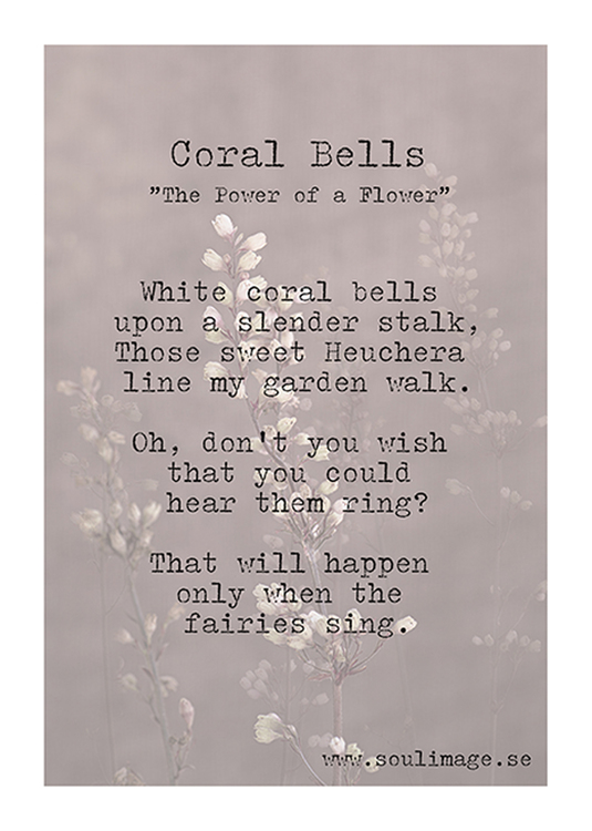 Corall Bells - "Power of a Flower"