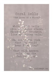 Corall Bells - "Power of a Flower"