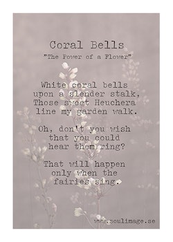 Corall Bells