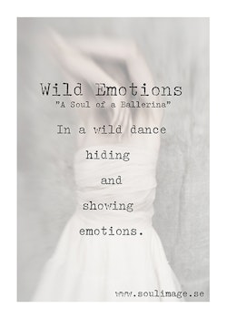 Wild Emotions - "A Soul of a Ballerina"