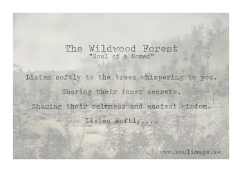 The Wildwood Forest - "Soul of a Nomad"