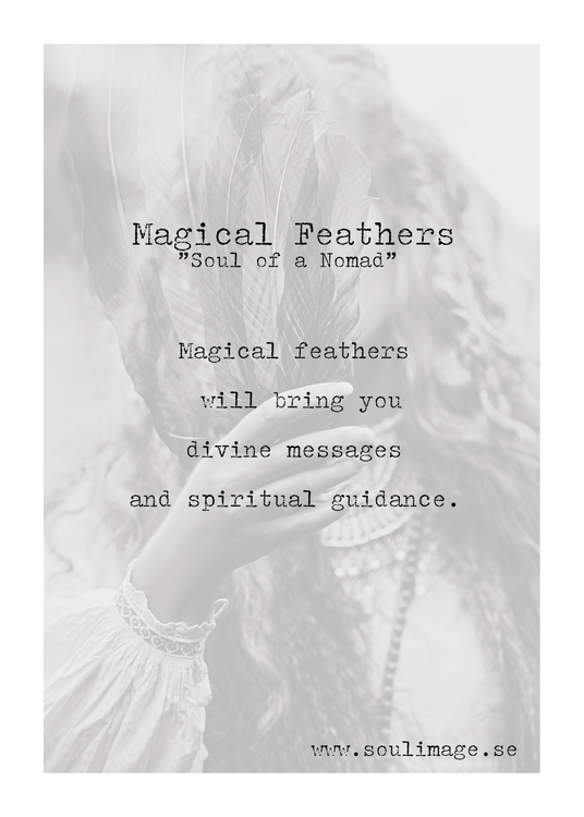 Magical Feathers - "Soul of a Nomad"