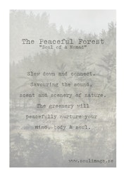 The Peaceful Forest - "Soul of a Nomad"