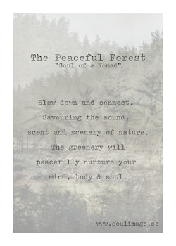 The Peaceful Forest - "Soul of a Nomad"