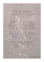 Coral Bells