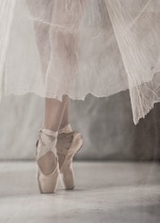 The Graceful Ballerina