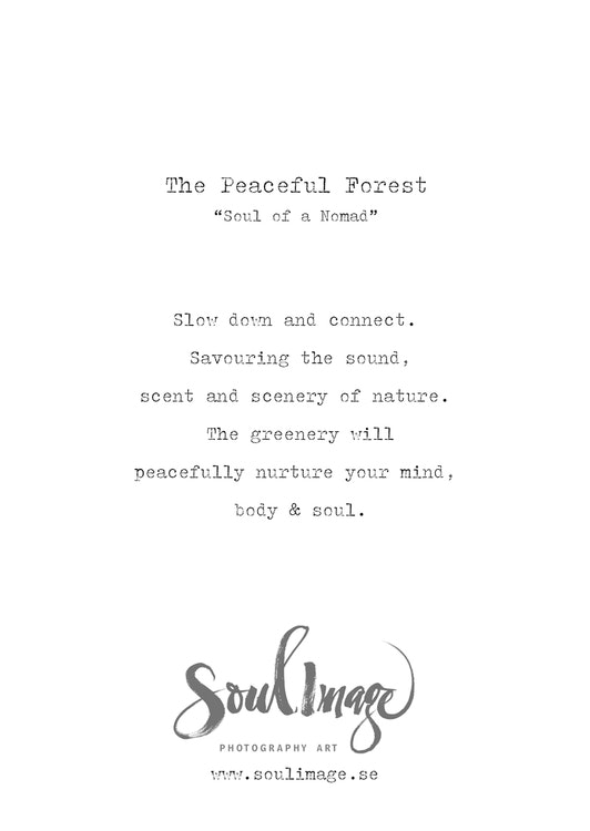 The Peaceful Forest - Card