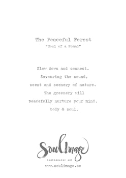 The Peaceful Forest - Card