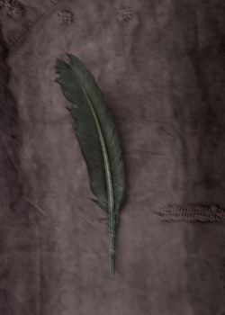 The Green Feather