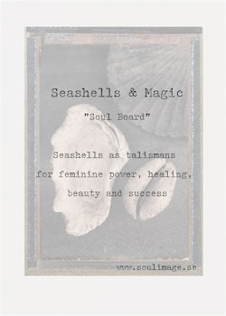 Seashells & Magic - "Soul Board"