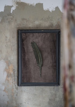 The Green Feather - "Soul Board"