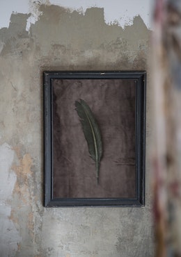 The Green Feather - "Soul Board"