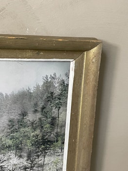 Vintage Frame - No 9