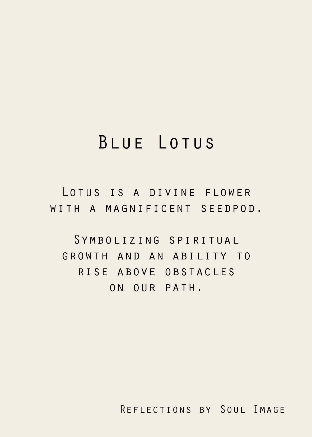 Blue Lotus - ”Reflections”