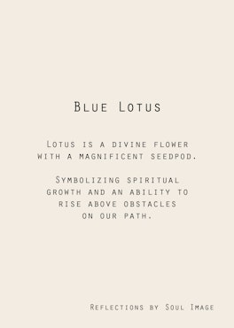 Blue Lotus - ”Reflections”