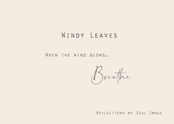 Windy Leaves - "Reflections"