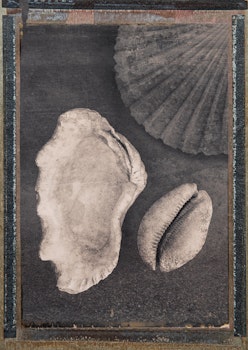 Seashells & Magic - Card