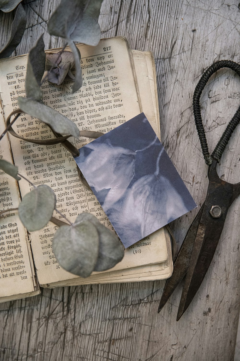 The Green Feather - Greeting card