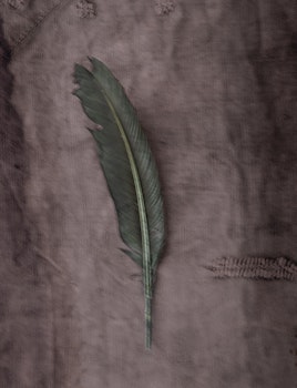 The Green Feather - Greeting card