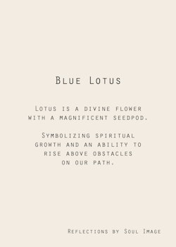 Blue Lotus - Art Print