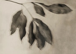 Windy Leaves - Art Print