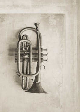 The French Trumpet - Art Print