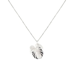 Palm Leaf Necklace Silver