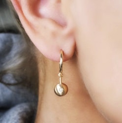 Sparkling Globe Earrings Gold