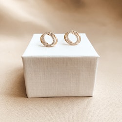 Circle of Paris Earrings Gold