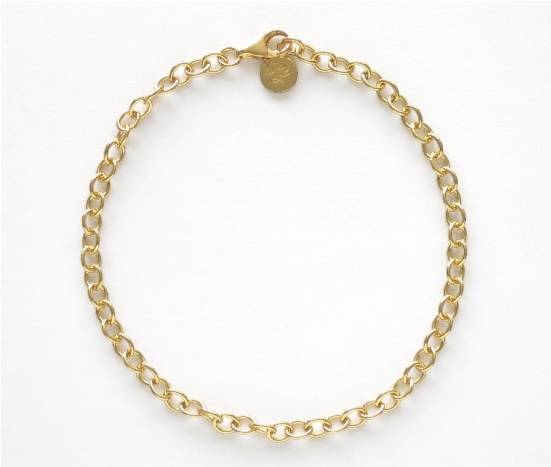 Charm Bracelet Gold