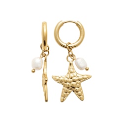 Seastar Pearl Earrings Gold PVD