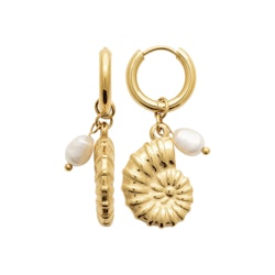 Shell Pearl Earrings Gold PVD