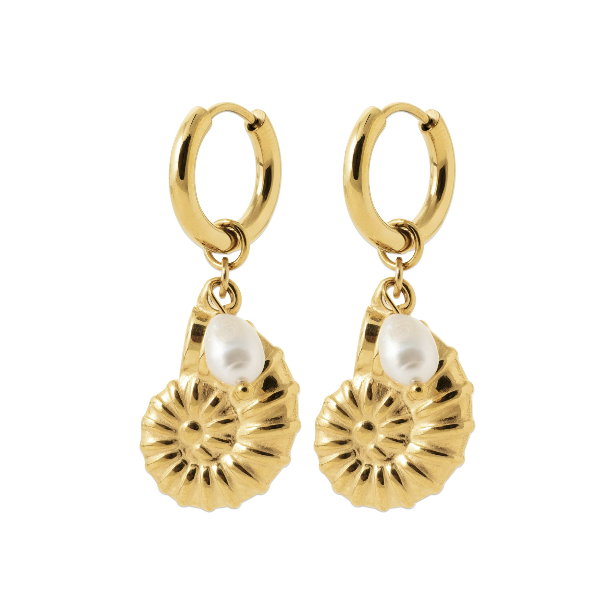 Shell Pearl Earrings Gold PVD