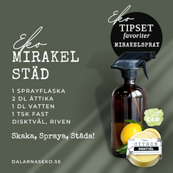 EKO Mirakel Spray - STÄDKIT