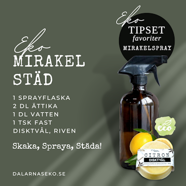 EKO Mirakel Spray - STÄDKIT