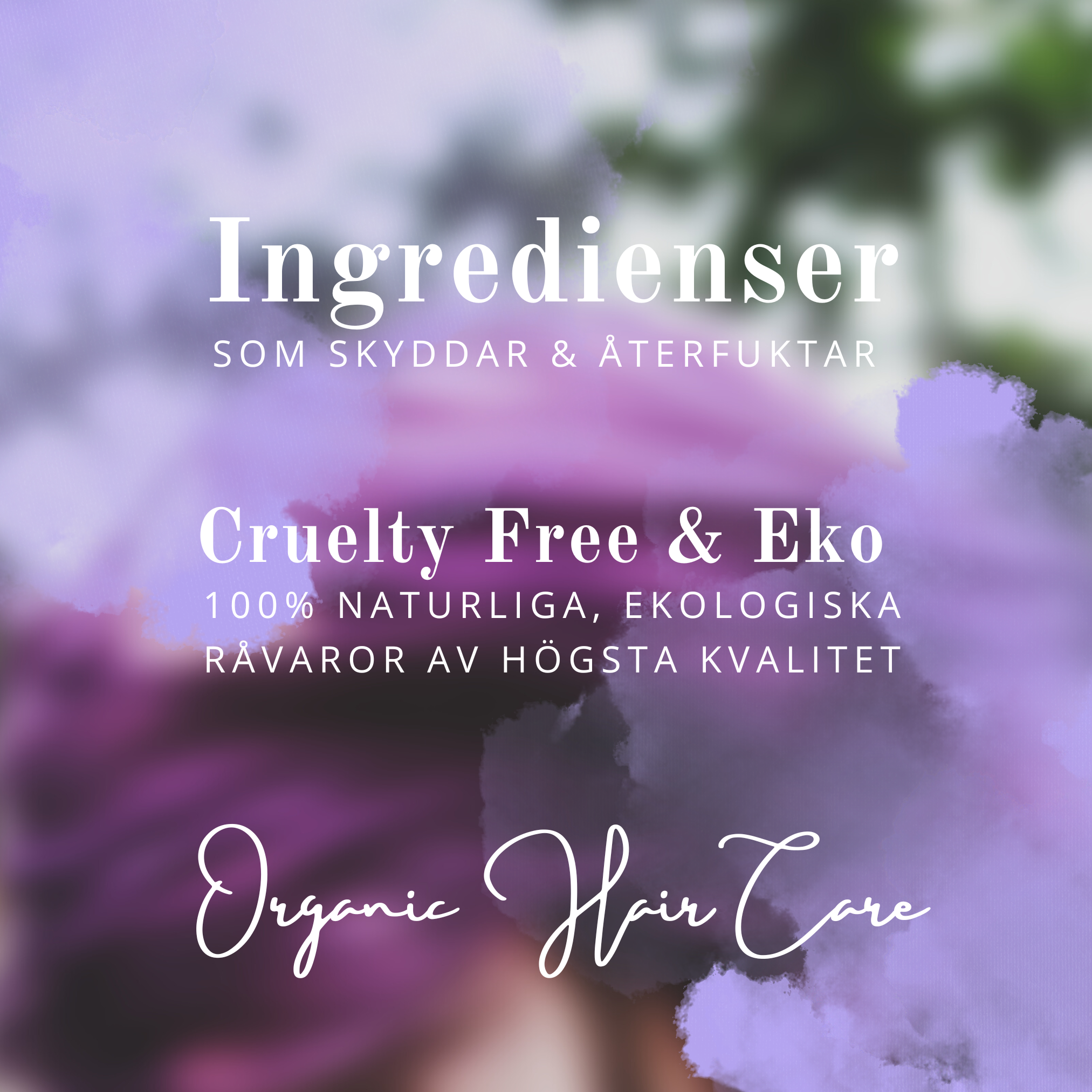 COLOR POP: Schampo + Balsamkaka Lavendel