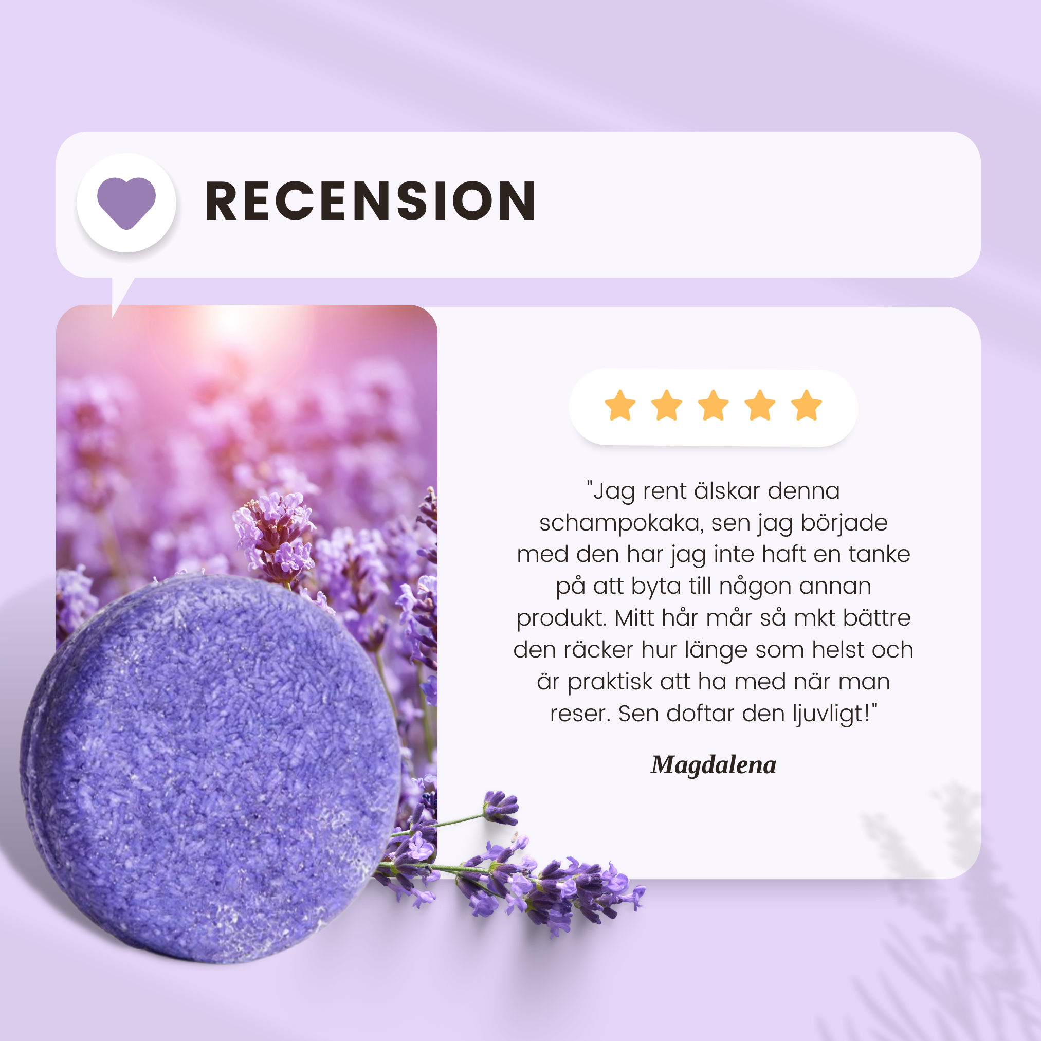 COLOR POP: Schampo + Balsamkaka Lavendel
