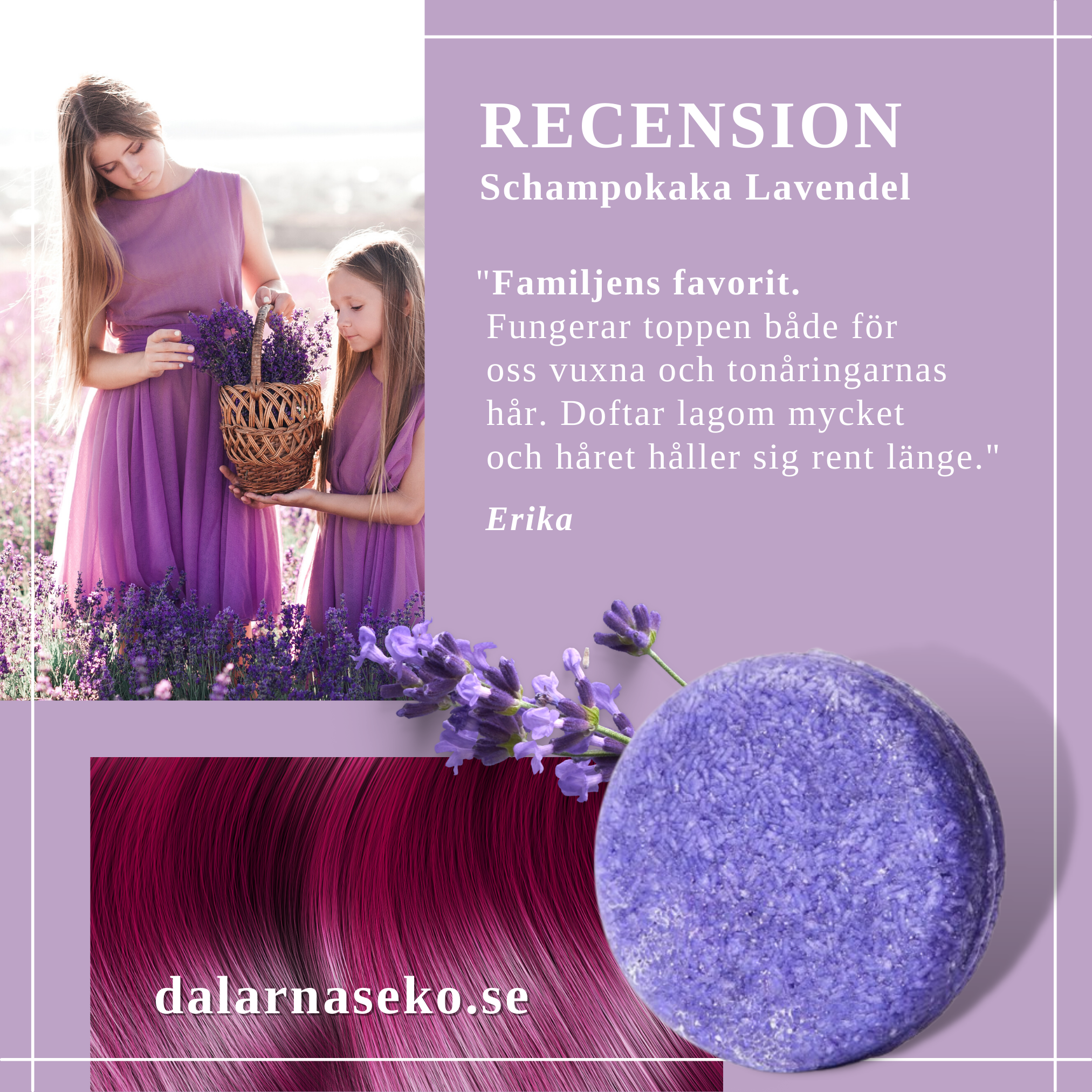 COLOR POP: Schampo + Balsamkaka Lavendel