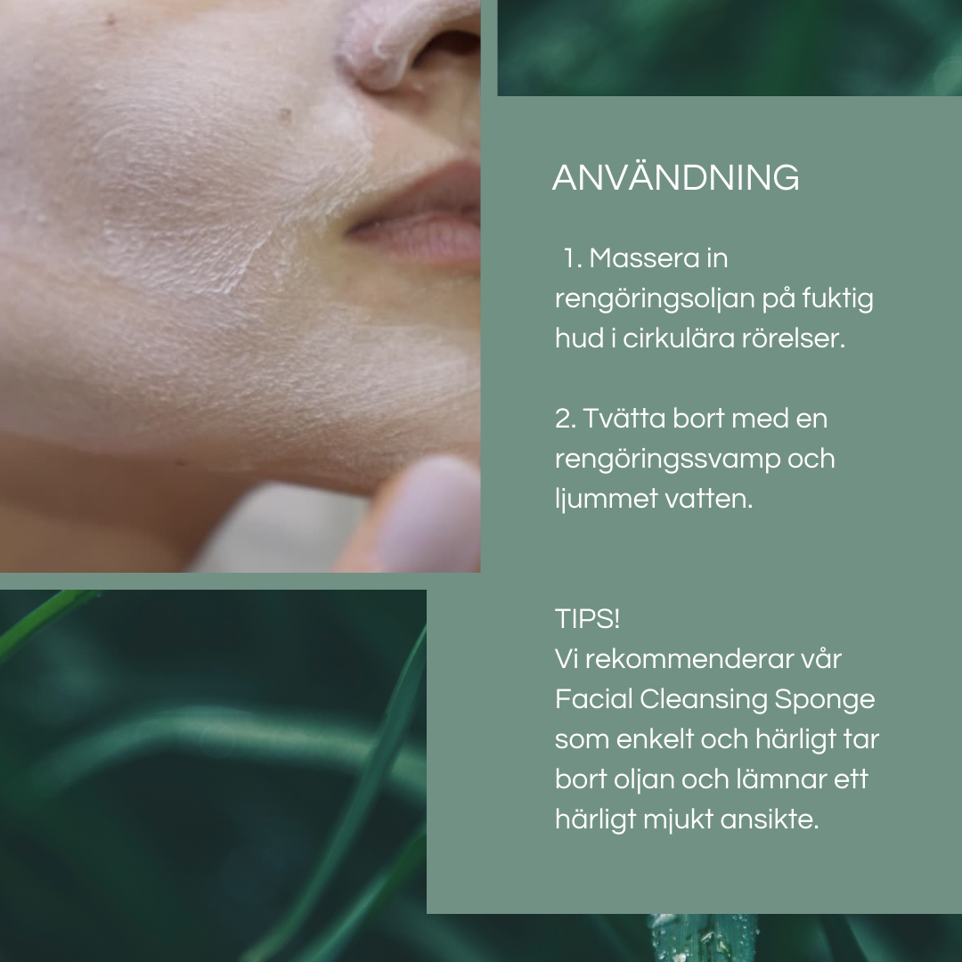Organic Skin Care KIT - Oljig Hud