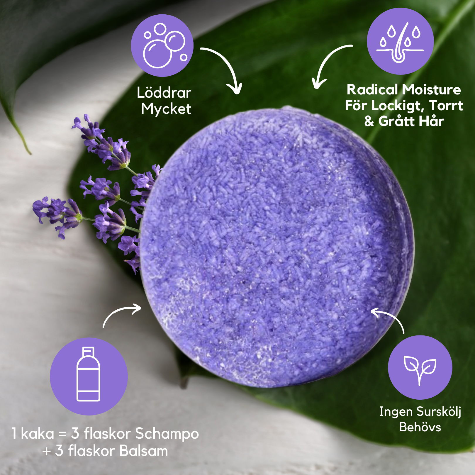 Schampokaka Lavendel, Radical Moisture Shampoo