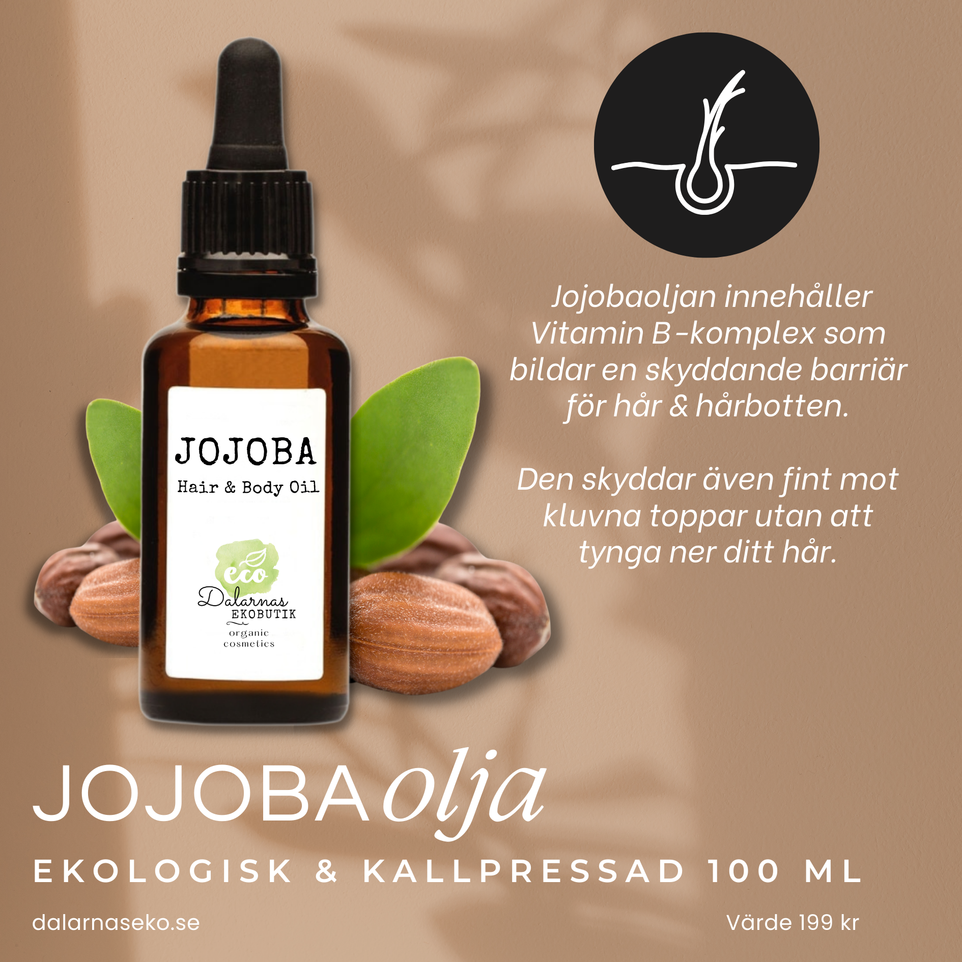 Jojobaolja EKO, fantastisk hårolja för hår som snabbt blir fett - Dalarnas  Ekobutik Organic Cosmetics AB