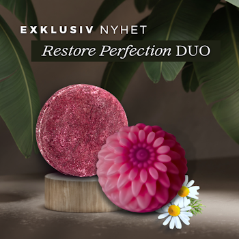 Kamomill Restore Perfection DUO