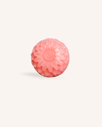 PRO Growth Deep Moisturizing Conditioner & Lotion bar