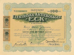 Elektriska AB Eck, 100 kr