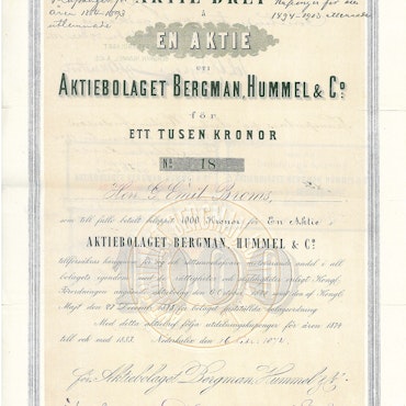 Bergman, Hummel & Co, AB