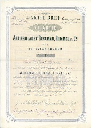 Bergman, Hummel & Co, AB
