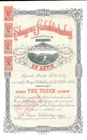 Skogens Kol AB, 1911