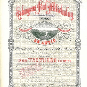 Skogens Kol AB, 1877