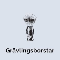 Rakborstar Grävling - GUAPO